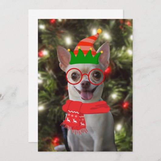 Funny Chihuahua Dog Pet Kerstmis Feestdagenkaart (Voorkant / Achterkant)