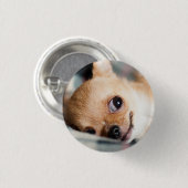 Funny Chihuahua Face Ronde Button 3,2 Cm (Voorkant /achterkant)
