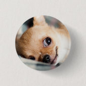 Funny Chihuahua Face Ronde Button 3,2 Cm (Voorkant)