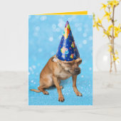 Funny Chihuahua In Birthday Party Hat Kaart (Gele Bloem)