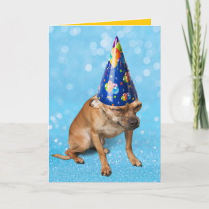 Funny Chihuahua In Birthday Party Hat Kaart