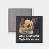 FUNNY CHIHUAHUA MAGNET (Voorkant / Achterkant)