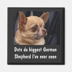 FUNNY CHIHUAHUA MAGNET