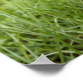 Funny Chihuahua Mustache Poster (Hoek)