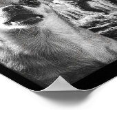 Funny Chihuahua Selfie With Bigfoot Sasquatch Cryp Poster (Hoek)