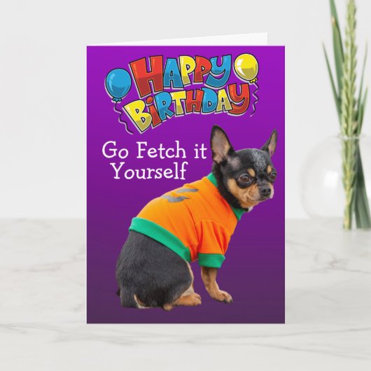 Funny Chihuahua-verjaardagskaart voor honden Kaart (Voorkant)