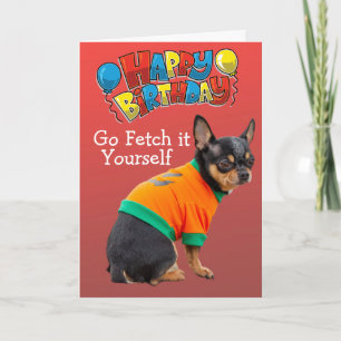 Funny Chihuahua-verjaardagskaart voor honden Kaart