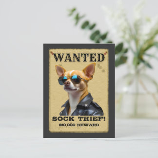 Funny Chihuahua WANTED Poster with Cool Sunglasses Briefkaart