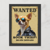 Funny Chihuahua WANTED Poster with Cool Sunglasses Briefkaart (Voorkant)
