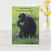 Funny Chimp (de denker) Verlate Verjaardag Kaart (Gele Bloem)