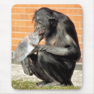 FUNNY CHIMP MUISMAT