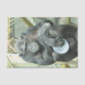 FUNNY CHIMP TISSUEPAPIER (Voorkant)