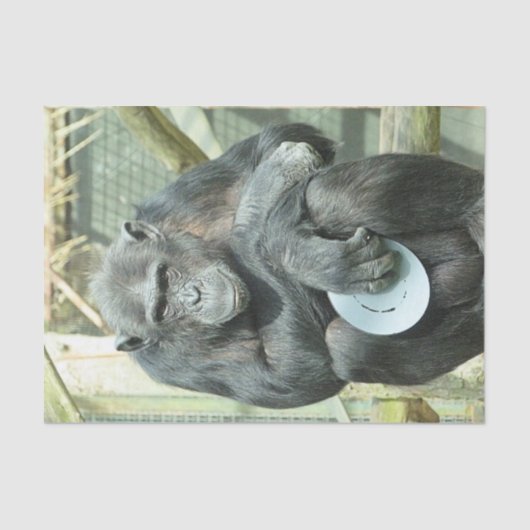 FUNNY CHIMP TISSUEPAPIER (Voorkant)