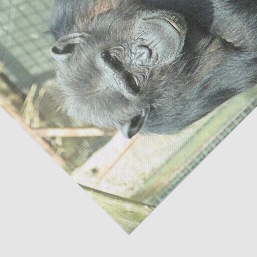 FUNNY CHIMP TISSUEPAPIER (Detail)