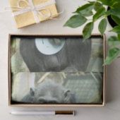 FUNNY CHIMP TISSUEPAPIER (Geschenk)