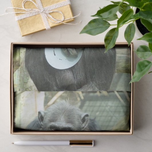 FUNNY CHIMP TISSUEPAPIER (Geschenk)