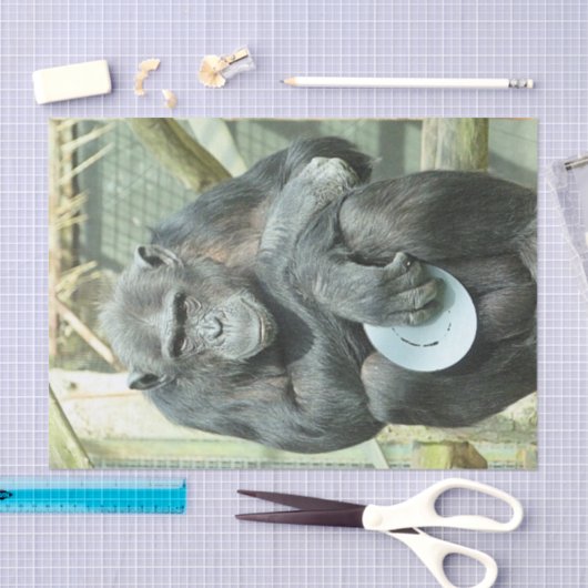 FUNNY CHIMP TISSUEPAPIER (Craft)