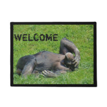 Funny Chimpansee - Welkomstwoord