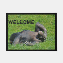 Funny Chimpansee - Welkomstwoord