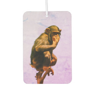 Funny Chimpanzee Baby Luchtverfrisser