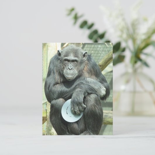 FUNNY CHIMPANZEE BRIEFKAART (Staand voorkant)