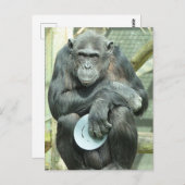 FUNNY CHIMPANZEE BRIEFKAART (Voorkant / Achterkant)