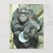 FUNNY CHIMPANZEE BRIEFKAART (Voorkant)