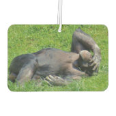 Funny Chimpanzee Foto Luchtverfrisser (Achterkant)