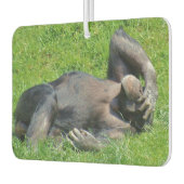 Funny Chimpanzee Foto Luchtverfrisser (Links)