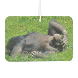 Funny Chimpanzee Foto Luchtverfrisser