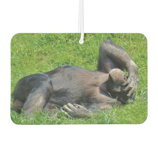Funny Chimpanzee Foto Luchtverfrisser (Voorkant)