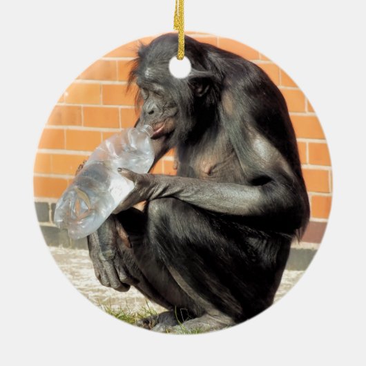 FUNNY CHIMPANZEE KERAMISCH ORNAMENT (Achterkant)