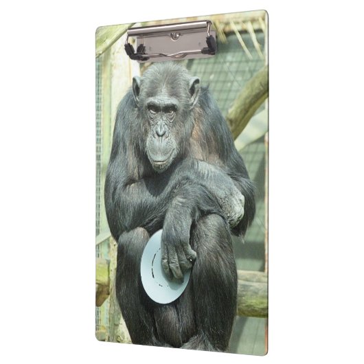 FUNNY CHIMPANZEE KLEMBORD (Links)