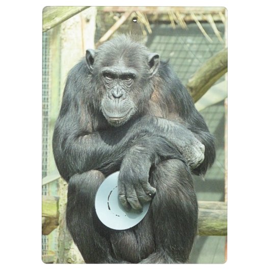 FUNNY CHIMPANZEE KLEMBORD (Achterkant)