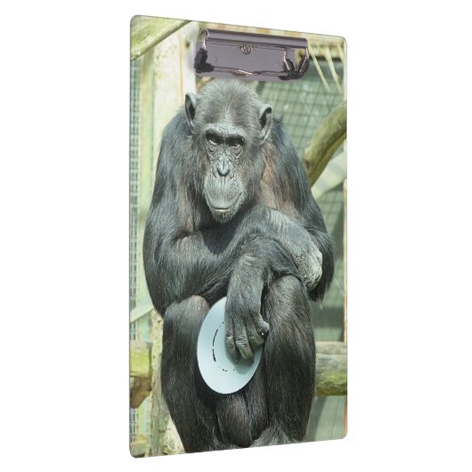 FUNNY CHIMPANZEE KLEMBORD (Rechts)