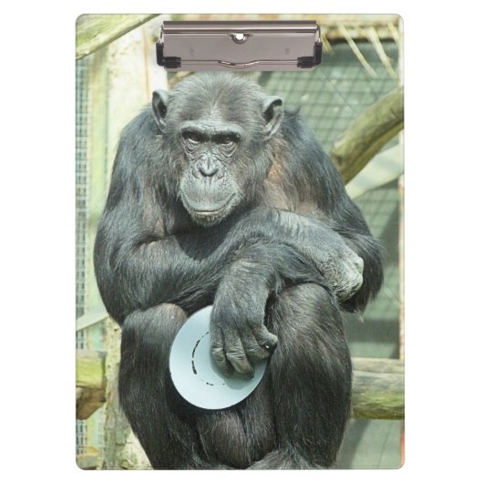 FUNNY CHIMPANZEE KLEMBORD (Voorkant)