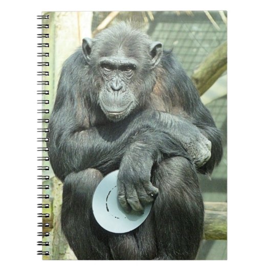 FUNNY CHIMPANZEE NOTITIEBOEK (Voorkant)