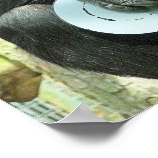 FUNNY CHIMPANZEE POSTER (Hoek)