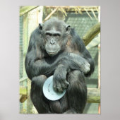FUNNY CHIMPANZEE POSTER (Voorkant)