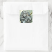 FUNNY CHIMPANZEE VIERKANTE STICKER (Tas)