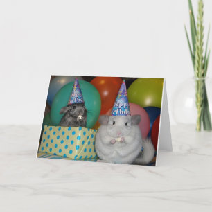 Funny Chinchilla Birthday Card Kaart