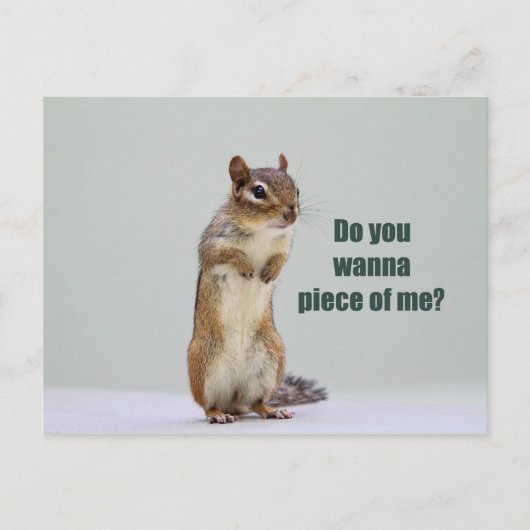Funny Chipmunk Afbeelding Briefkaart (Voorkant)