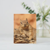Funny chipmunk die op een rots ligt briefkaart (Staand voorkant)