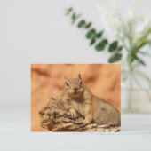 Funny chipmunk die op een rots ligt briefkaart (Staand voorkant)