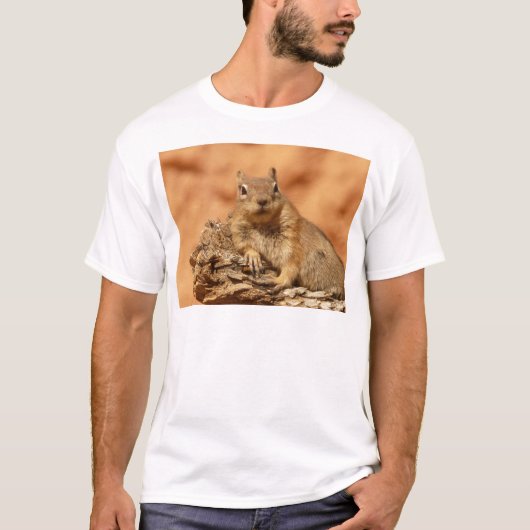 Funny chipmunk die op een rots ligt t-shirt (Voorkant)