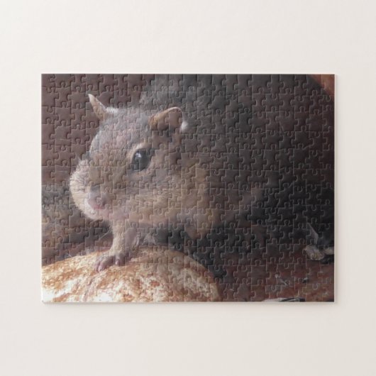 Funny Chipmunk met eten op Cheeks schattige dieren Legpuzzel (Horizontaal)