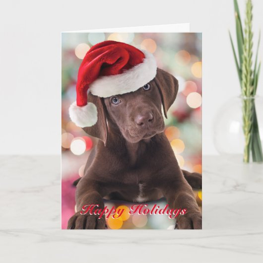 Funny Chocolate Lab Puppy met Santa Hat Card Feestdagen Kaart (Voorkant)
