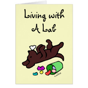Funny Chocolate Labrador Cartoon Illustratie