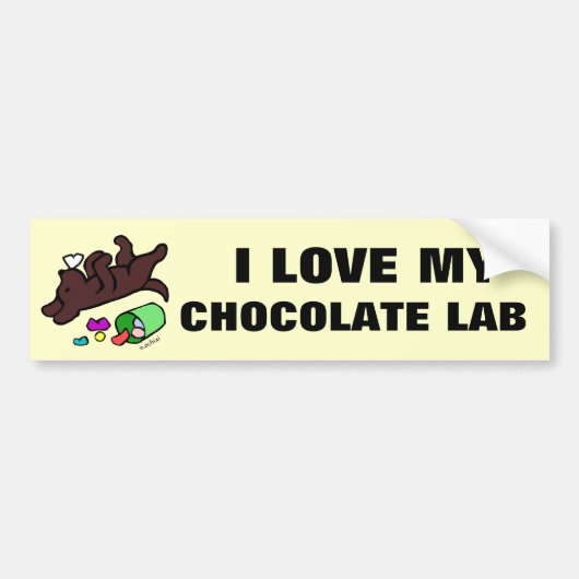 Funny Chocolate Labrador Cartoon Illustratie Bumpersticker (Voorkant)