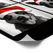 Funny Christmas Australian Cattle Dog Santa Photo Poster (Hoek)